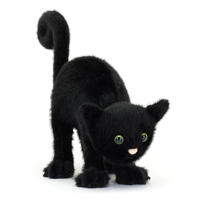 Spookipaws Cat