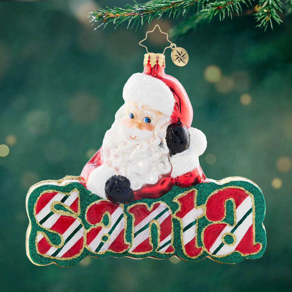 Christopher Radko What's in a Name Santa