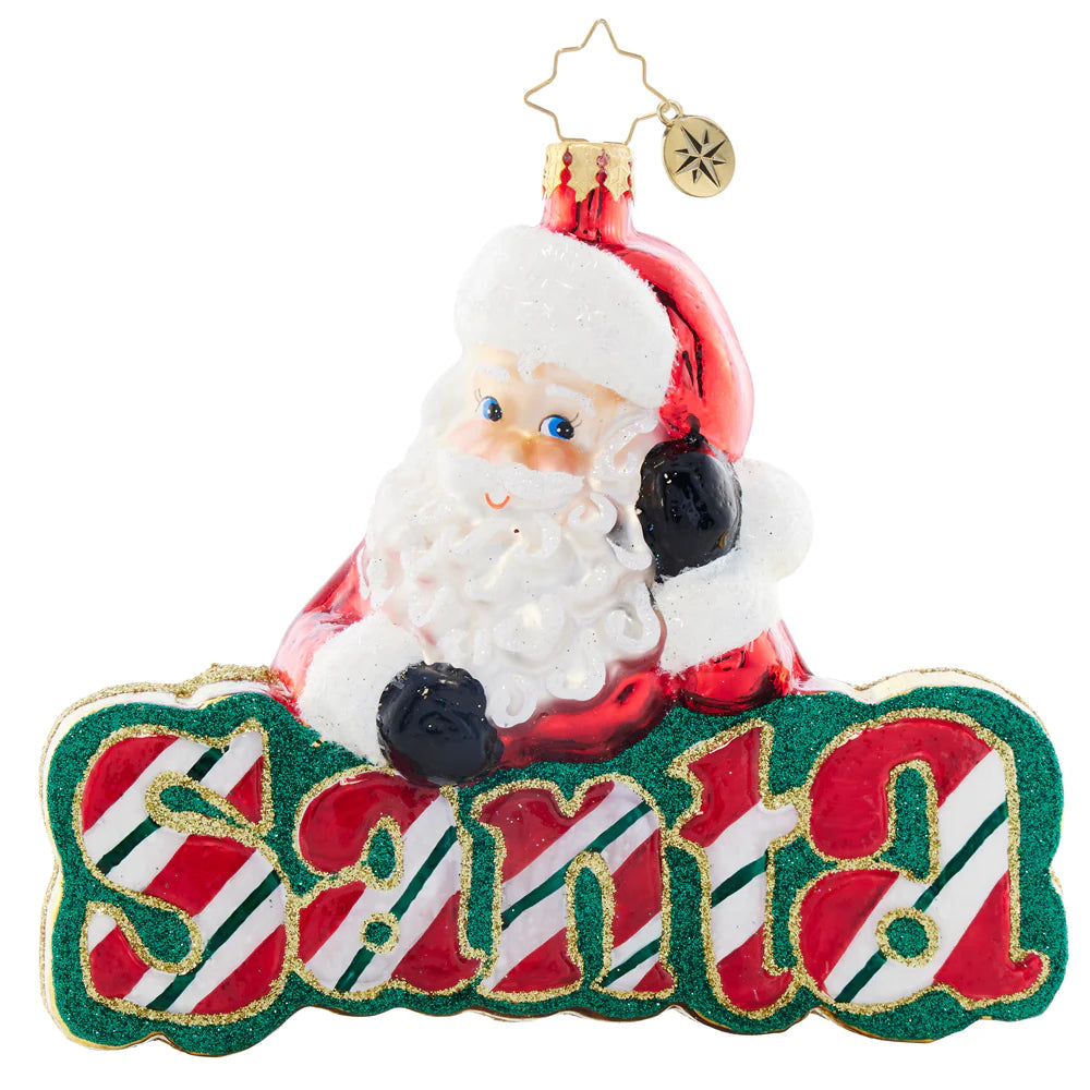 Christopher Radko What's in a Name Santa