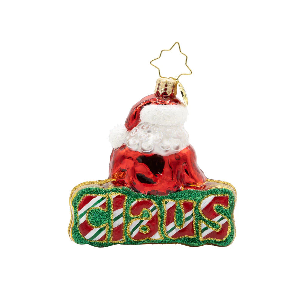 What's in a Name Santa Gem Ornament