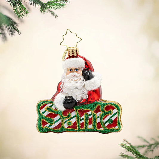 What's in a Name Santa Gem Ornament