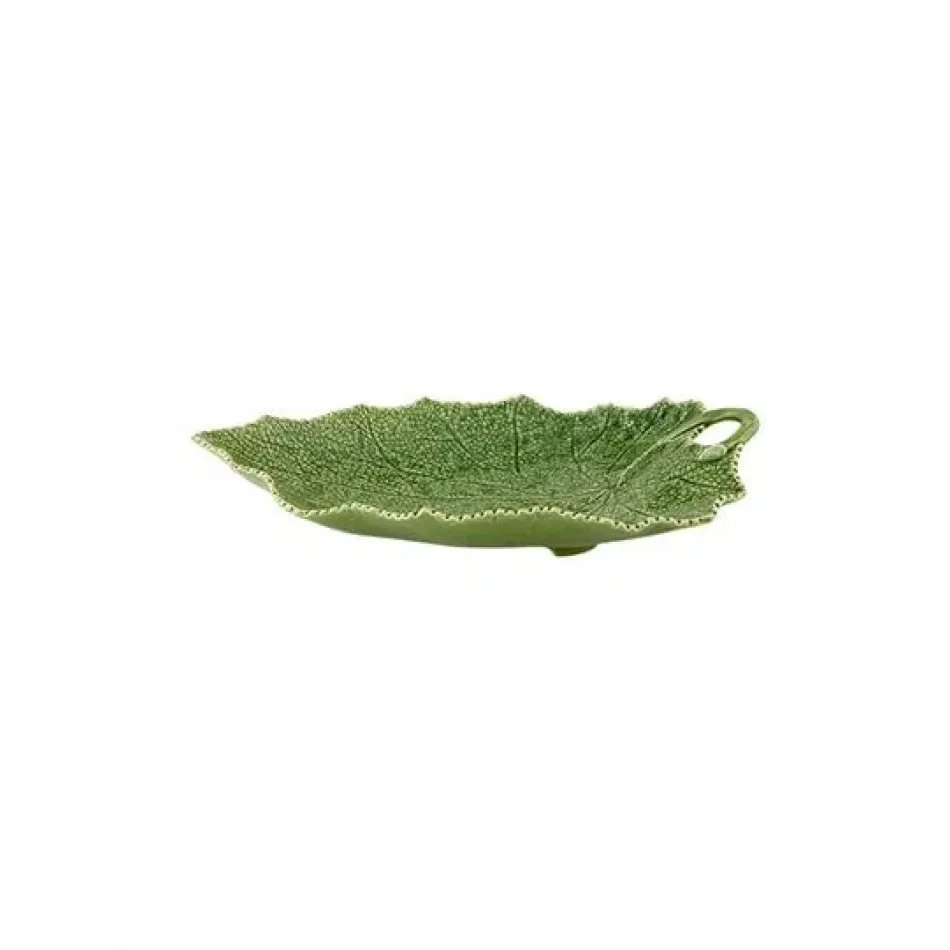 Cinerària Platter