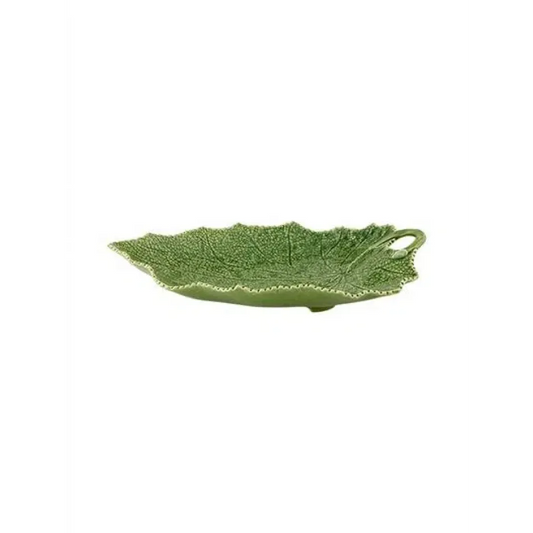 Cinerària Platter
