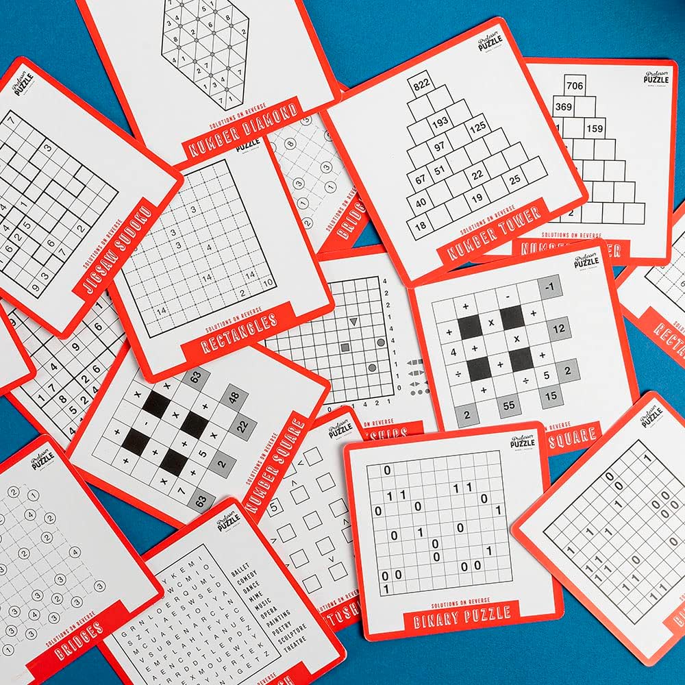 Professor Puzzle Puzzle A Day 365 Puzzles