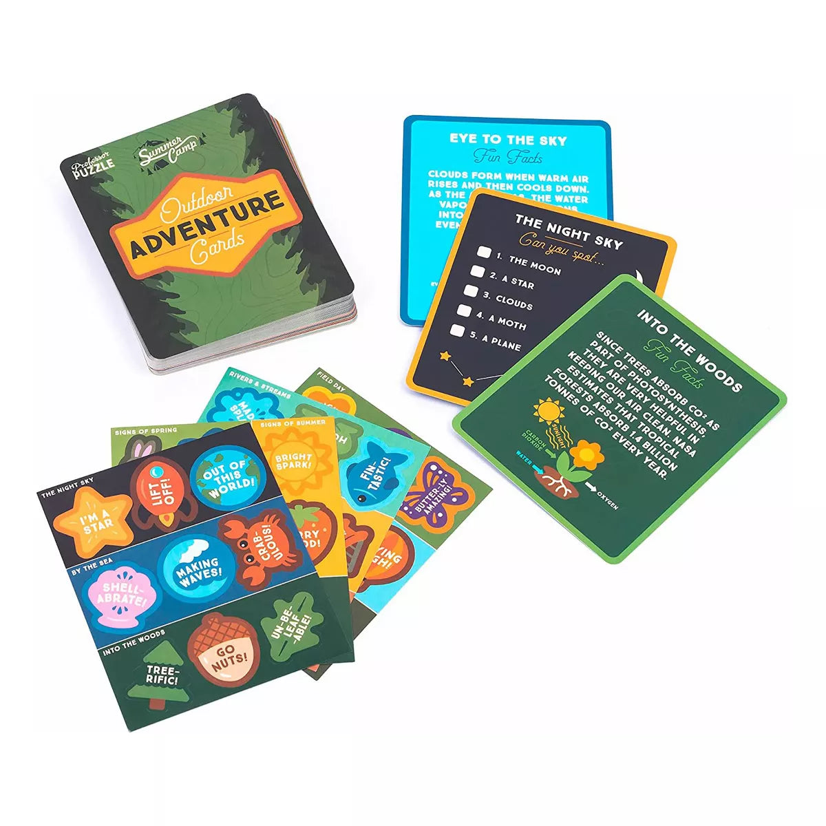 Professor Puzzle Outdoor Adventure Cards