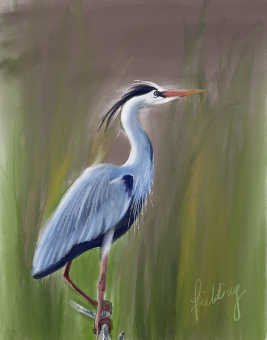 Painting of a heron standing in grass with a blurred background