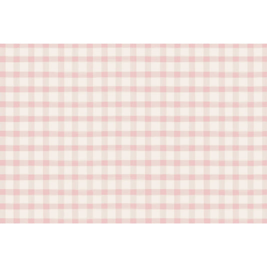 Hester & Cook Pink Painted Check Paper Placemats