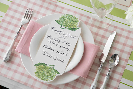Hester & Cook Pink Painted Check Paper Placemats