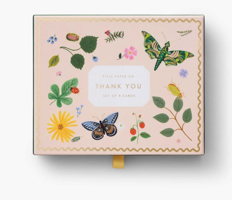 Curio Thank You Notes
