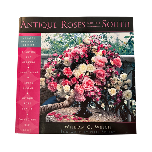 Antique Roses for the South