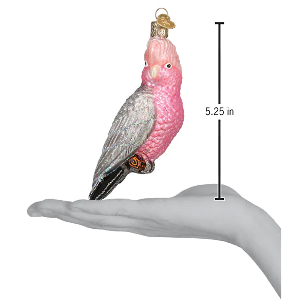 Old World Christmas Rose-Breasted Cockatoo pink dimensions
