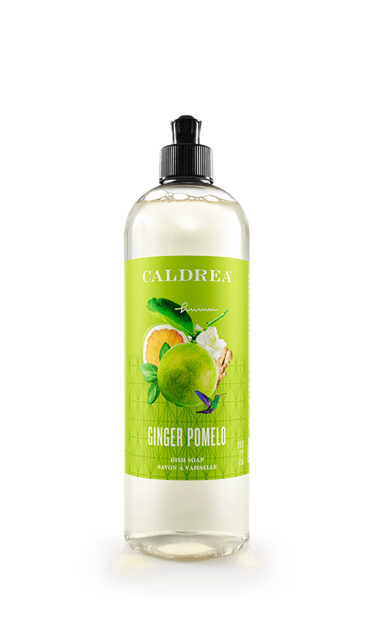 Ginger Pomelo Dish Soap