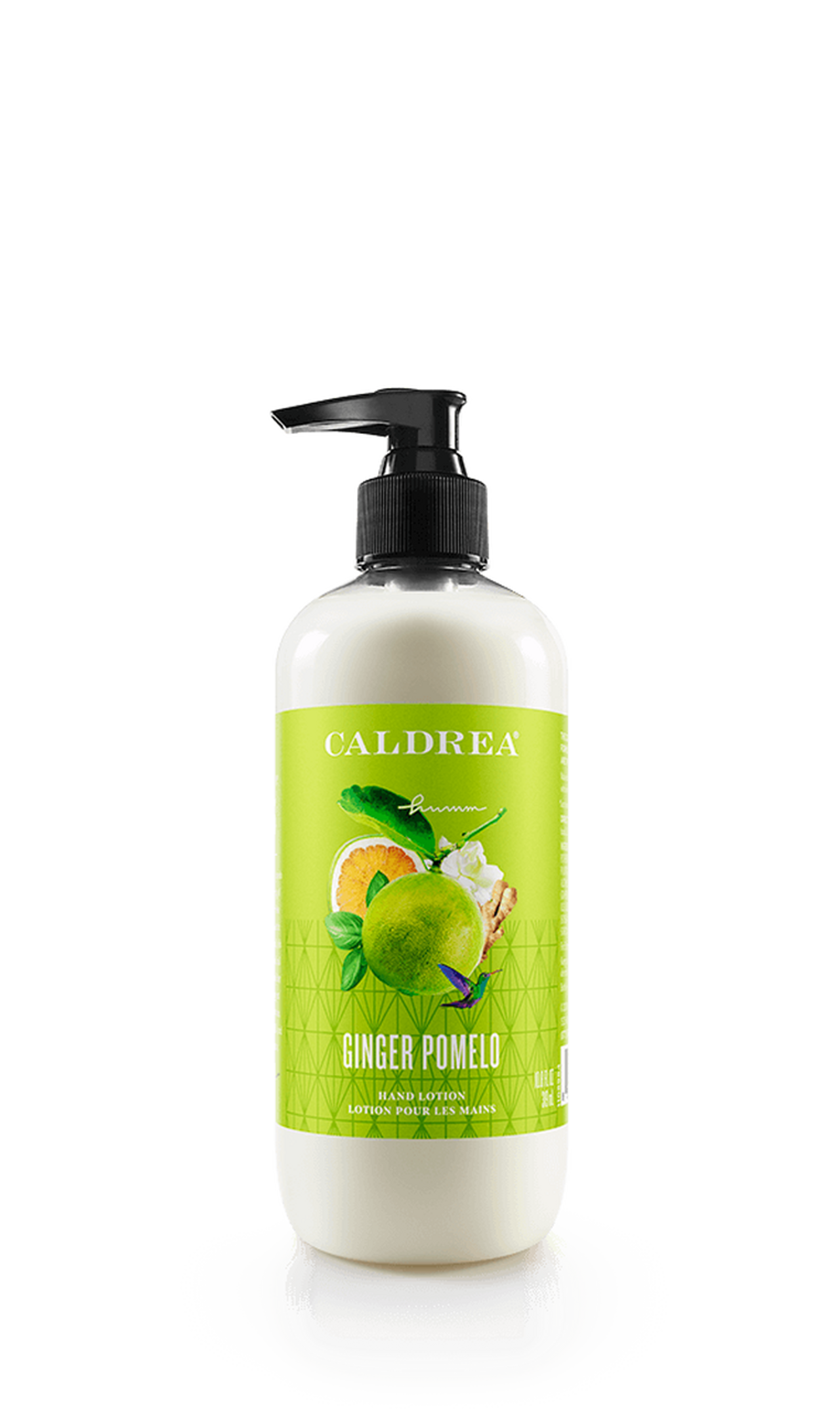 Ginger Pomelo Hand Lotion
