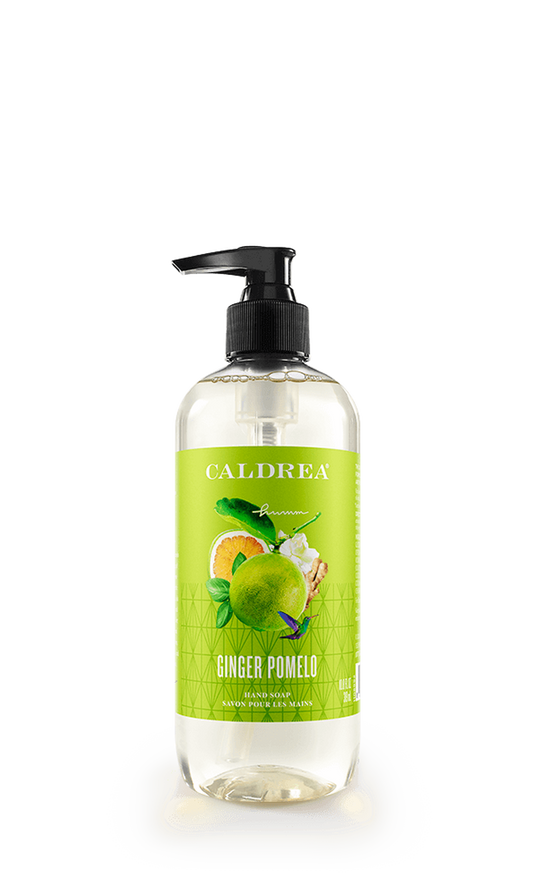 Ginger Pomelo Hand Soap
