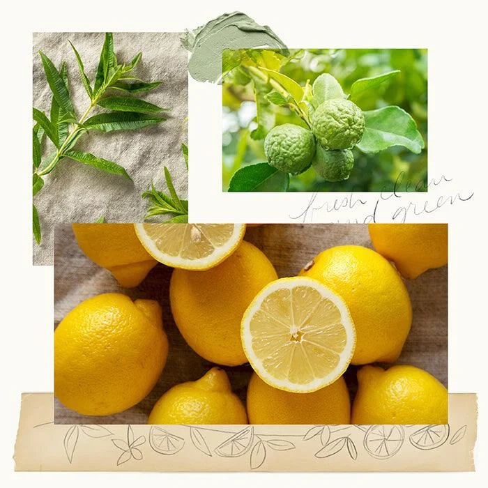 Thymes Lemon Leaf Fragrance
