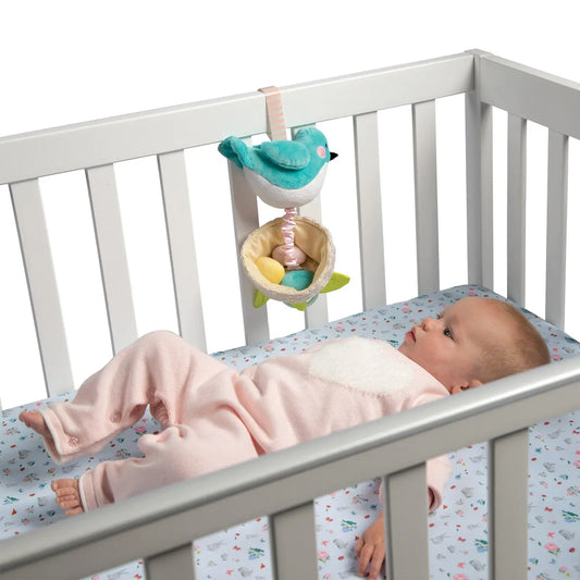 Manhattan Toy Company Lullaby Bird Pull Musical Toy for babies