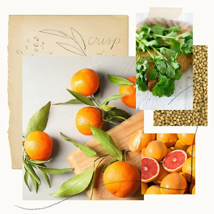 Mandarin Coriander Fragrance Spray