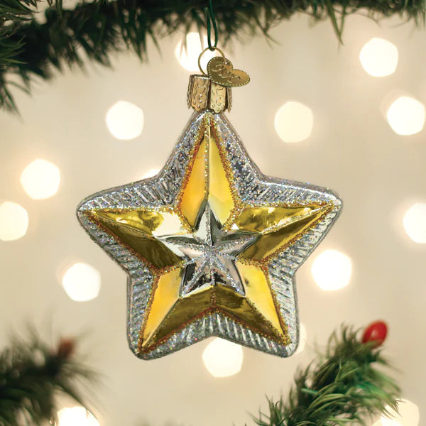Old World Christmas Radiant Star glass ornament
