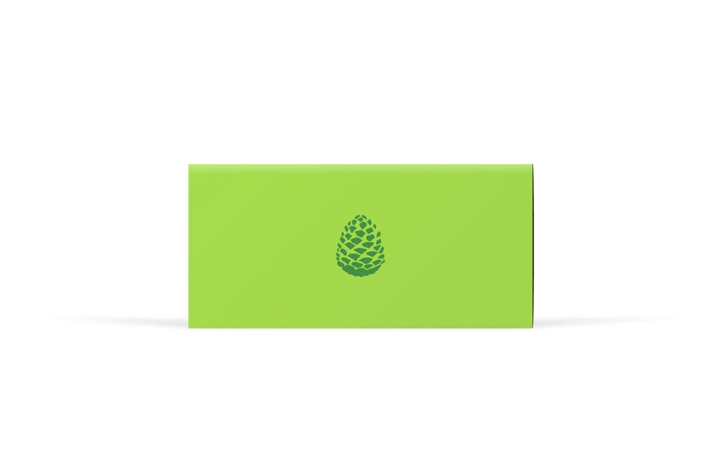 Candylab Pinecone Camper wooden toy for kids
