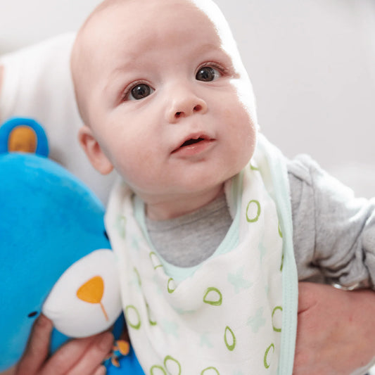 Goosewaddle bib set