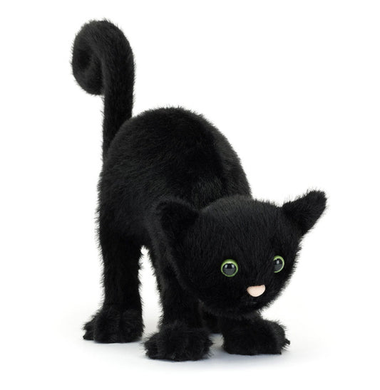Spookipaws Cat