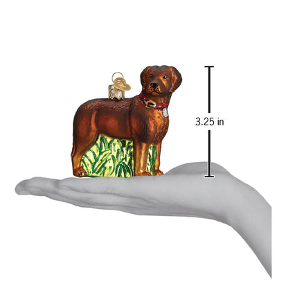 Glass dog ornament with measurement on a hand