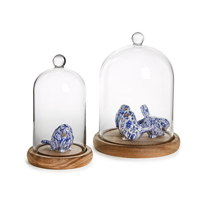 Two decorative birds under glass domes on wooden bases.