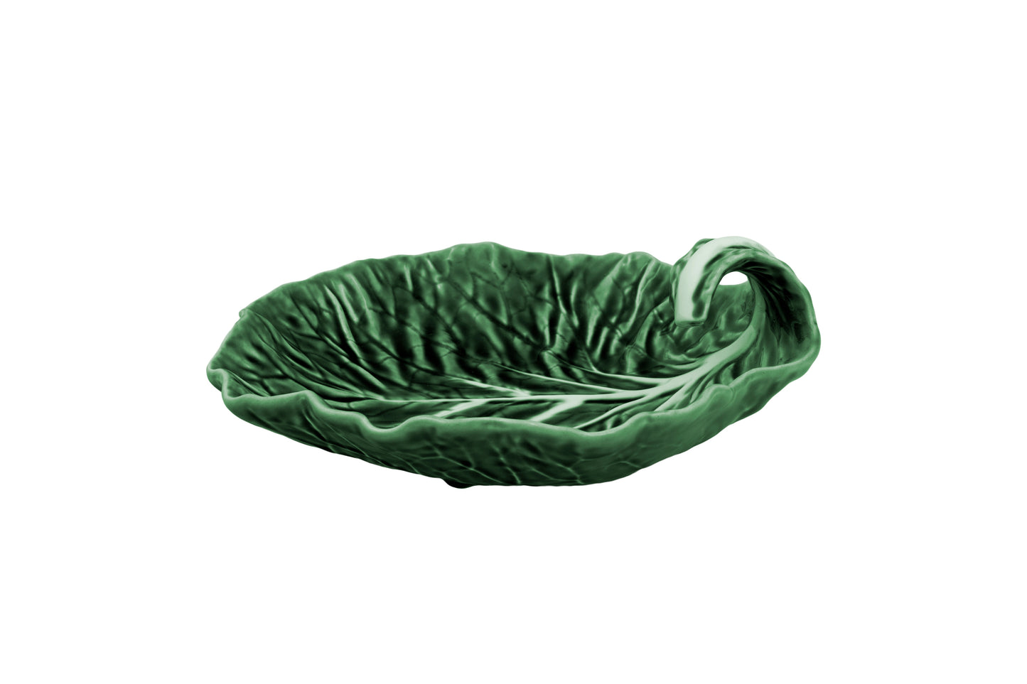 Green Cabbage Leaf with Curvature 9"
