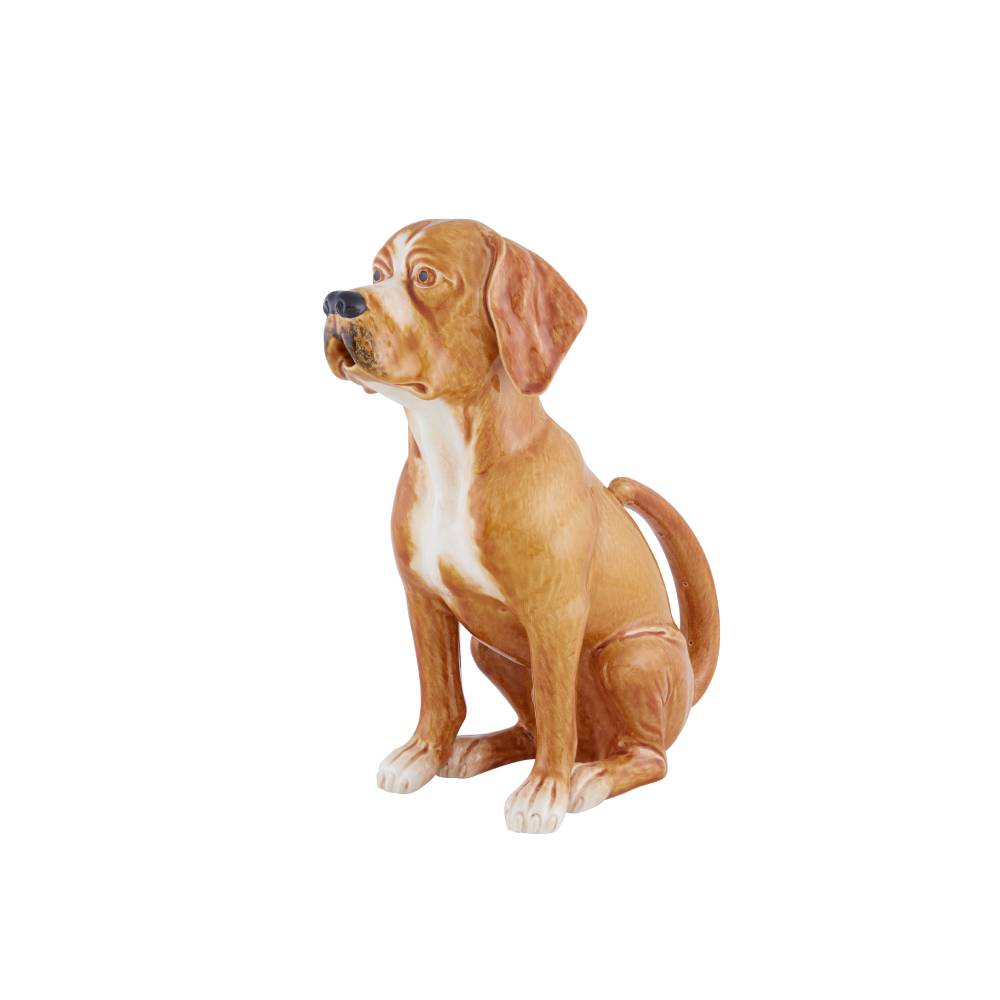 Dog Pitcher