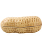 Nuts Peanut Box