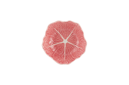 Close-up of a pink grapefruit slice on a white background