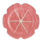Pink Cabbage Charger Plate