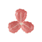 Pink Cabbage Olive Dish