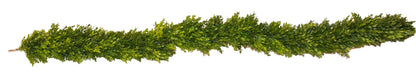 Boxwood Garland - 6 feet