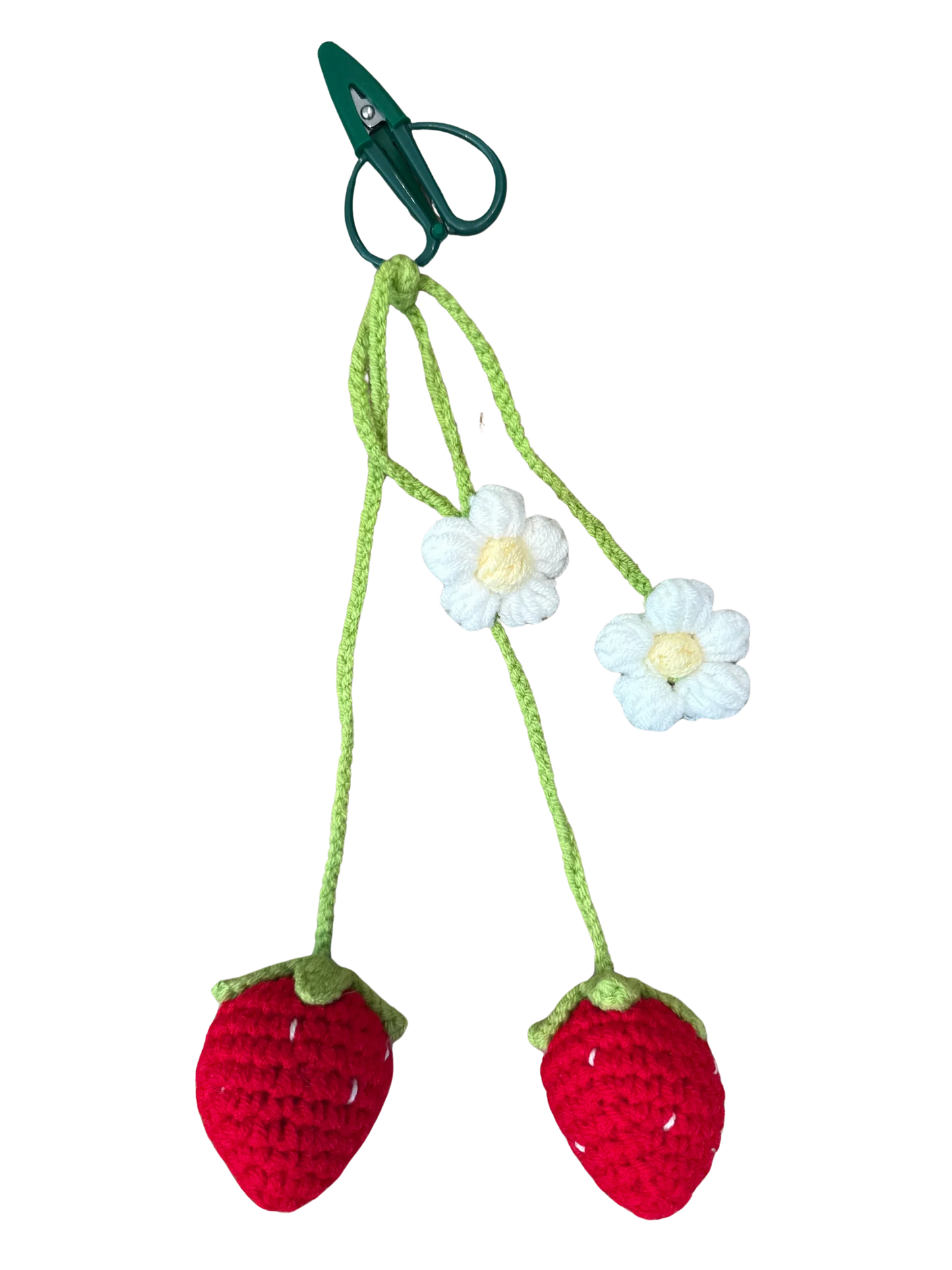 Strawberry Snips