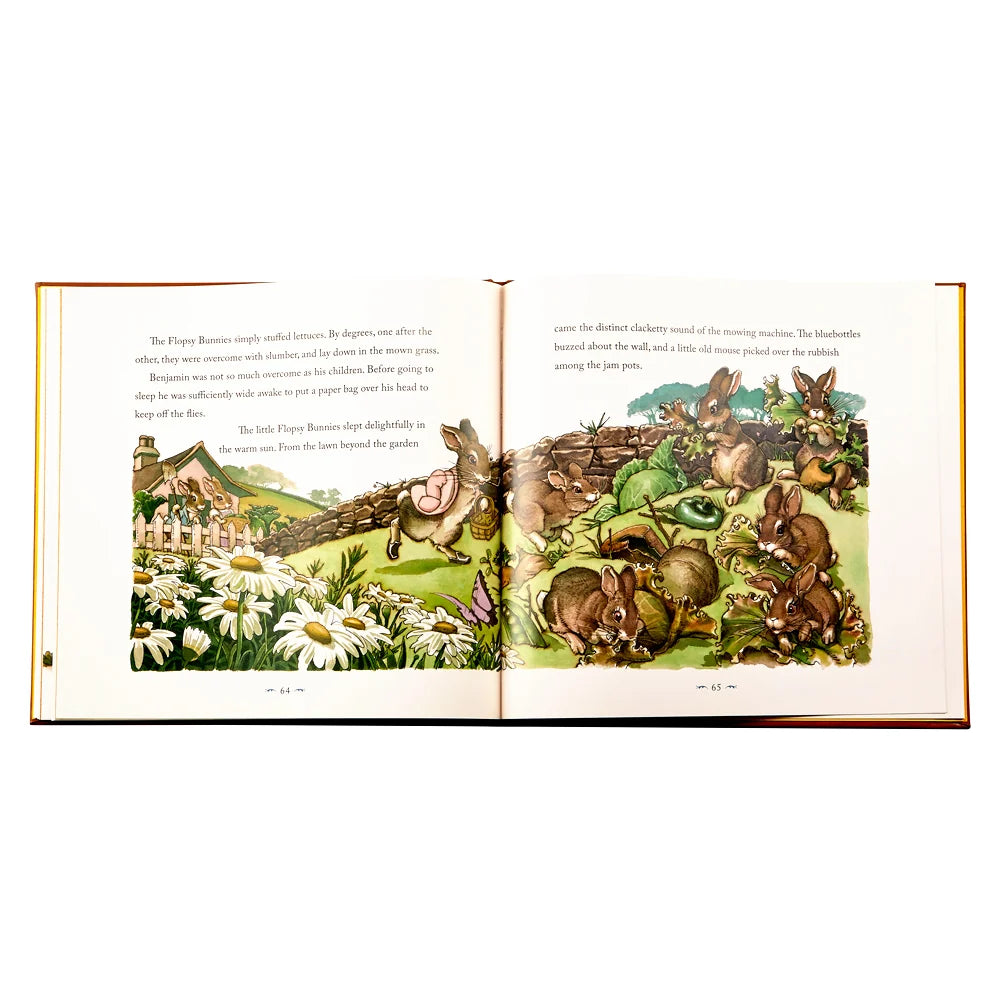 Open book with illustrations of rabbits and a garden on a white background