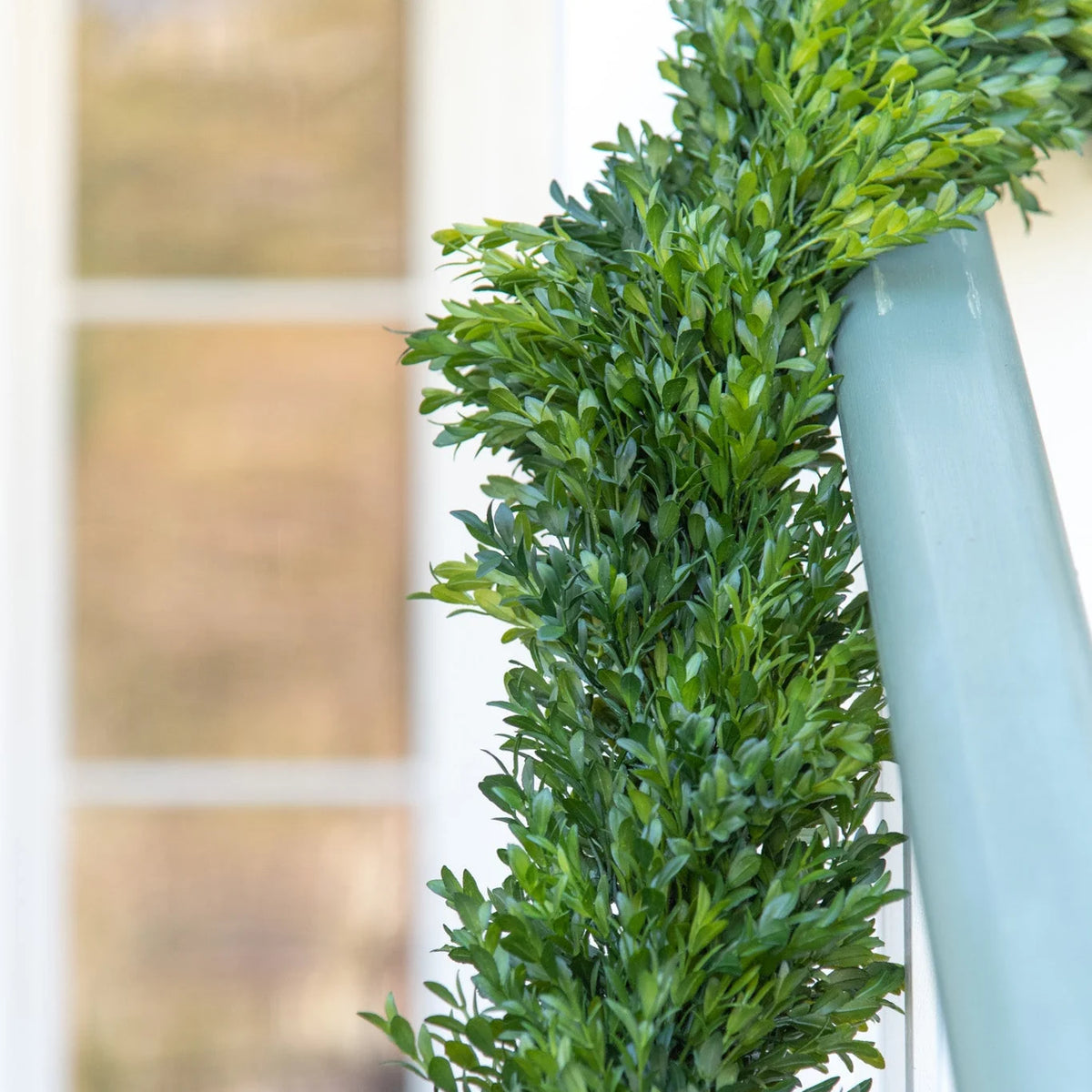 Boxwood Garland - 6 feet