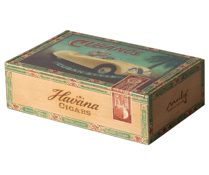 Grandma & Grandpa Mice in Cigarbox