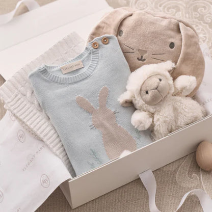 Boy's Bunny Shortall