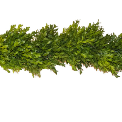 Boxwood Garland - 6 feet