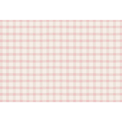 Hester & Cook Pink Painted Check Paper Placemats 