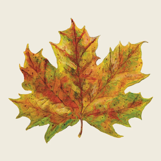 Fall Foliage Paper Napkin