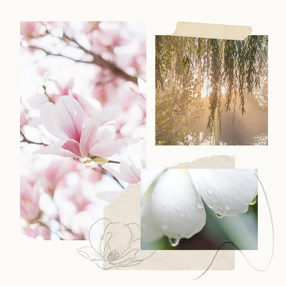 Thymes Magnolia Willow Hand Cream 
