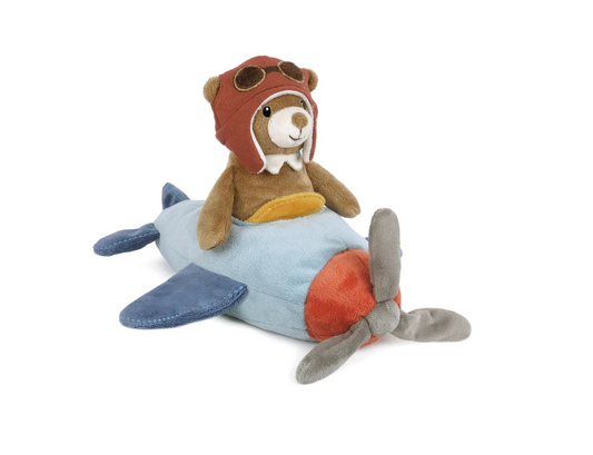 Pilot Bear and Plane
