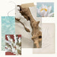 Aqua Coralline Bath Salts