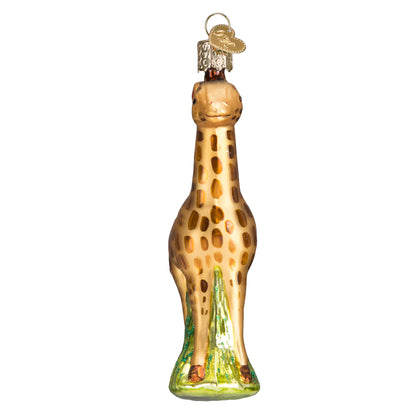 Old World Christmas Baby Giraffe ornament 