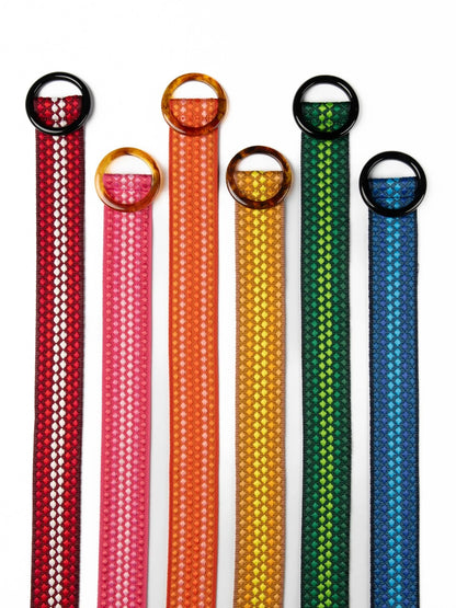 Set of colorful dog leashes with black metal clasps on a white background