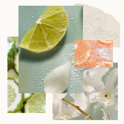 Collage of lime slices, water droplets, and white flowers on a textured background.