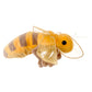 Nectar the Bee