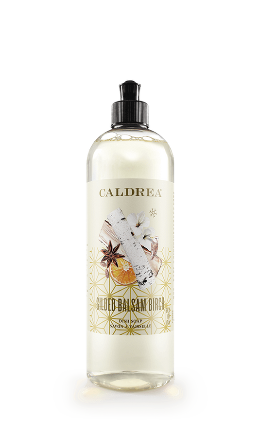 Gilded Balsam Birch Dish Soap